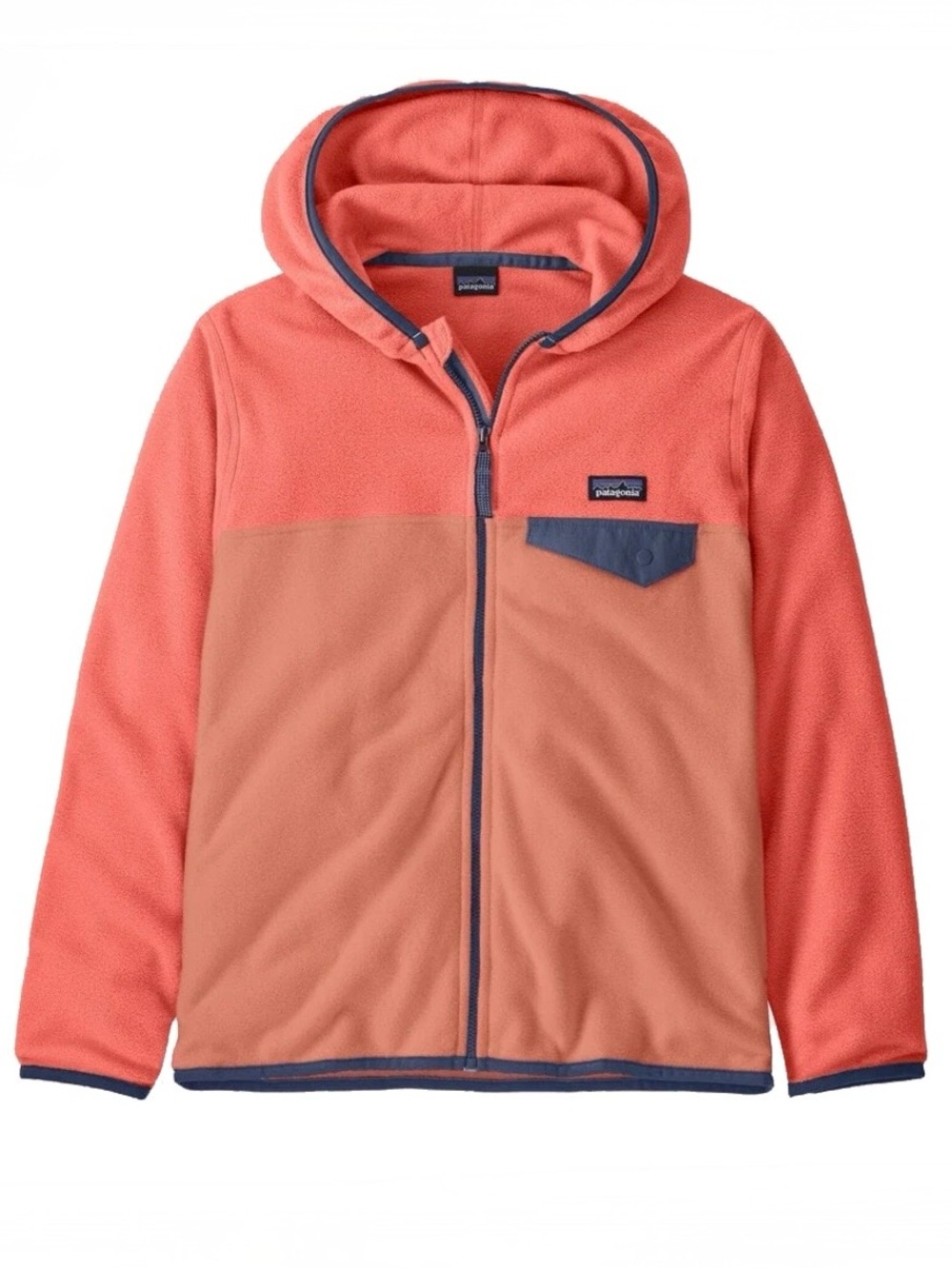 Patagonia Micro D Snap-T Jacket